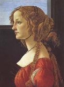 Sandro Botticelli Porfile of a Young Woman (mk45) oil on canvas